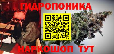 дмт Дубна