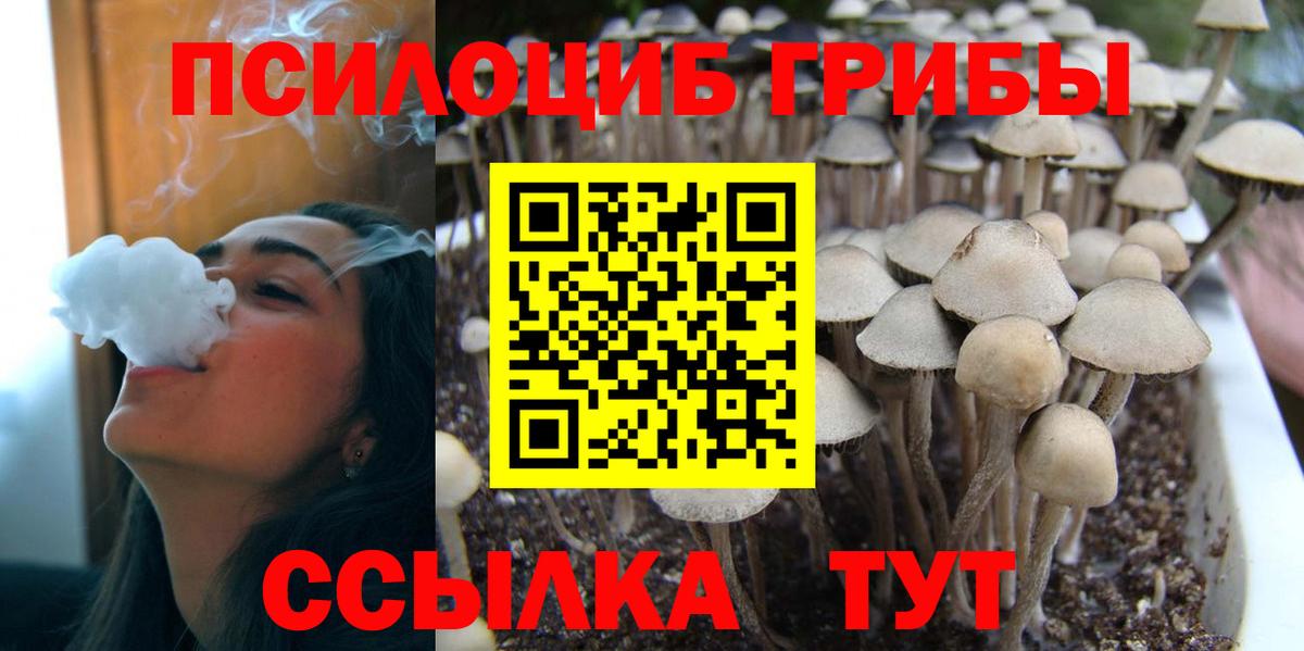 Галлюциногенные грибы Magic Shrooms Вольск